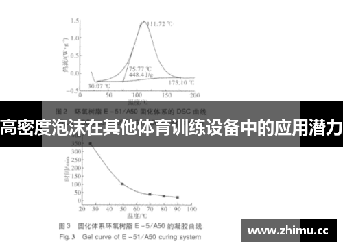 高密度泡沫在其他体育训练设备中的应用潜力